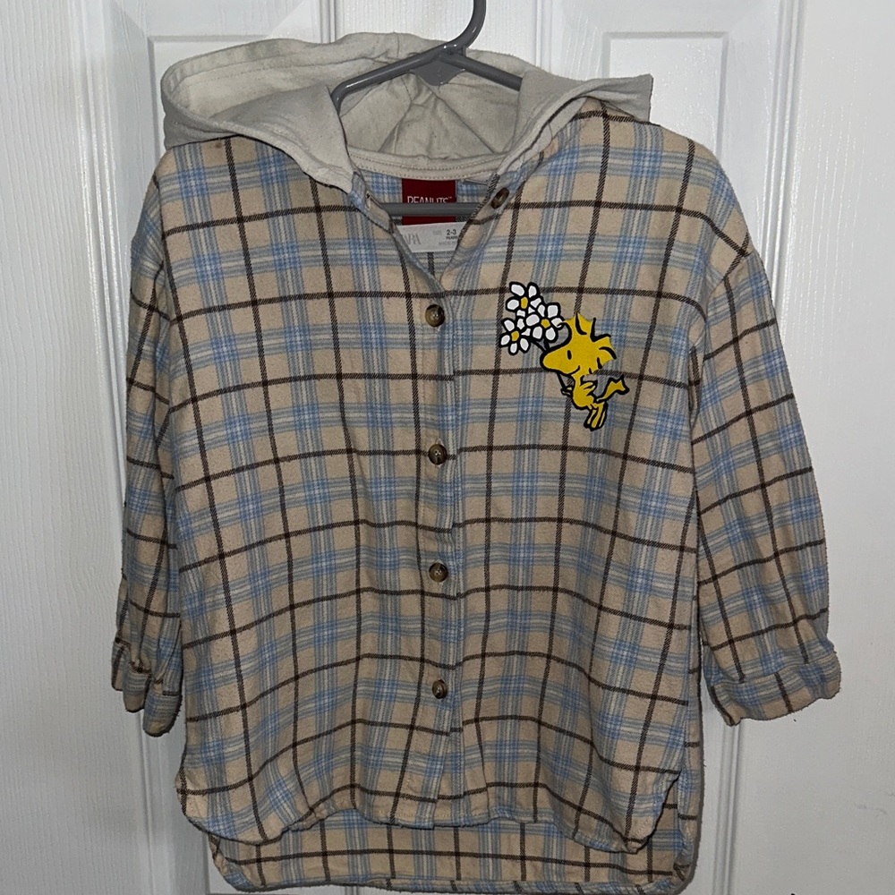 Zara Blue and Cream Plaid Shirt